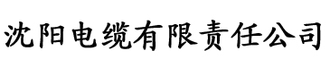 2018高清日本一道国产电缆厂logo